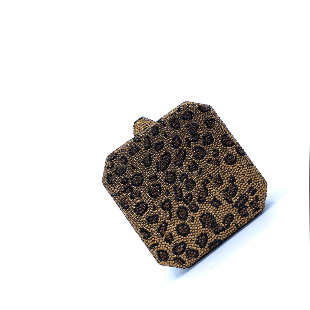 Cheetah Dreams