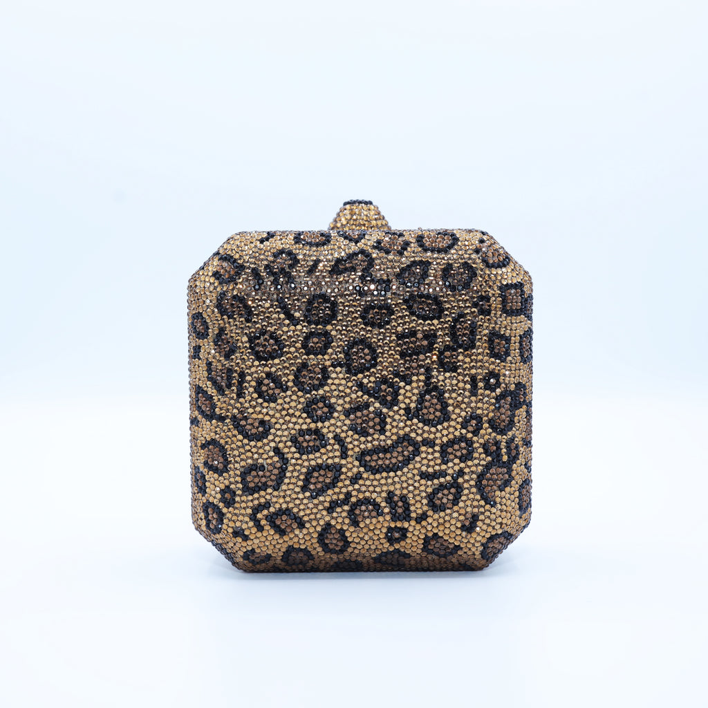Cheetah Dreams